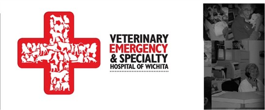 veterinary emergency and specialty hospital