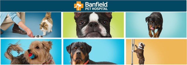 Banfield Pet Hospital - Day Care Center 
