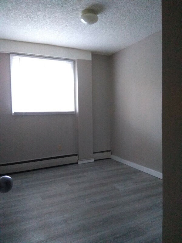 1 Bedroom House For Rent In Saskatoon Sk One Bedroom